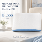 Memory Foam Pillow with Blue Mesh